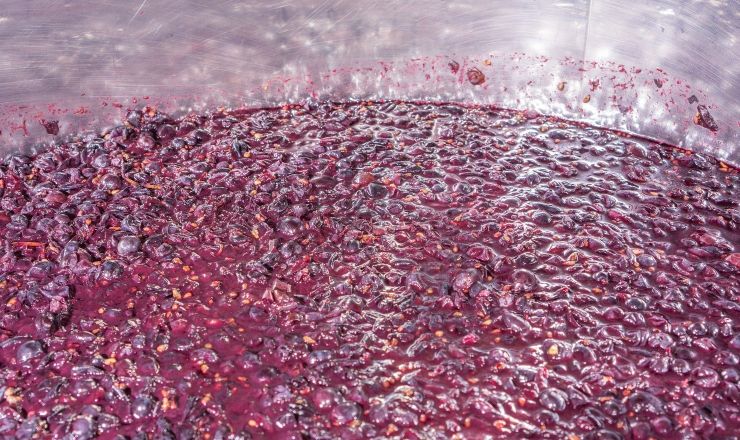 Making Top 10 Merlot