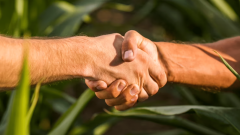 Handshake