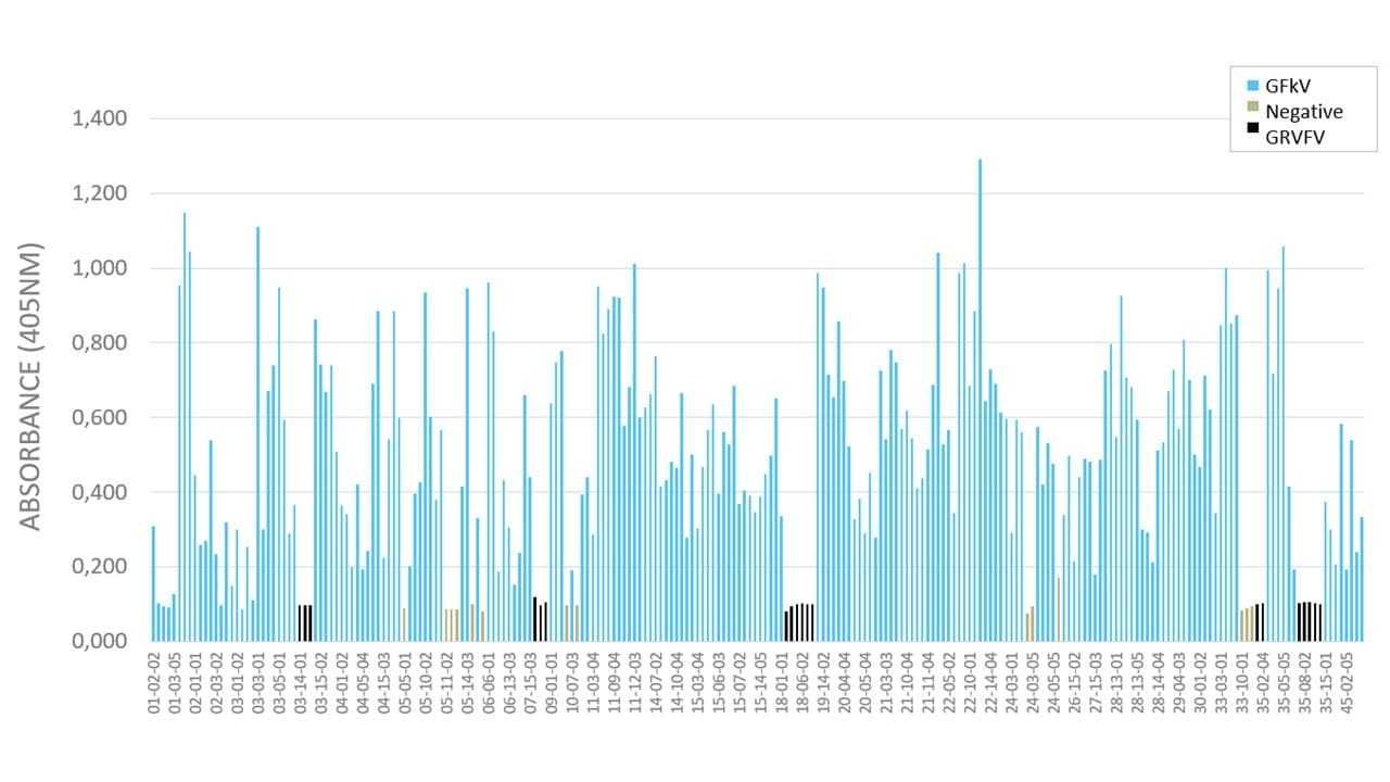 Improved Vitis planting material for wine industry Figure 5