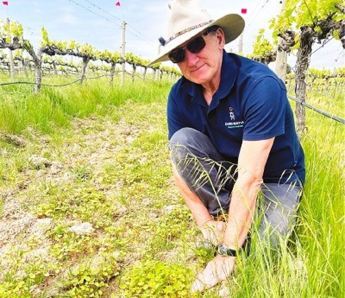 Vineyard biodiversity1