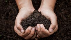 Soil compaction Shutterstock