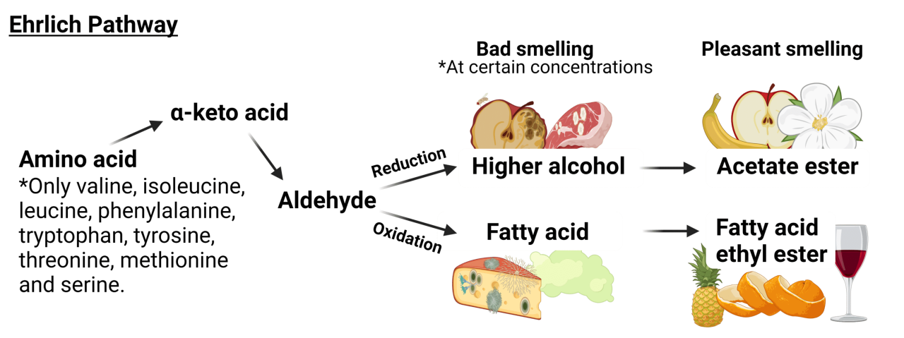 Fruit salad vs varnish Figure 1