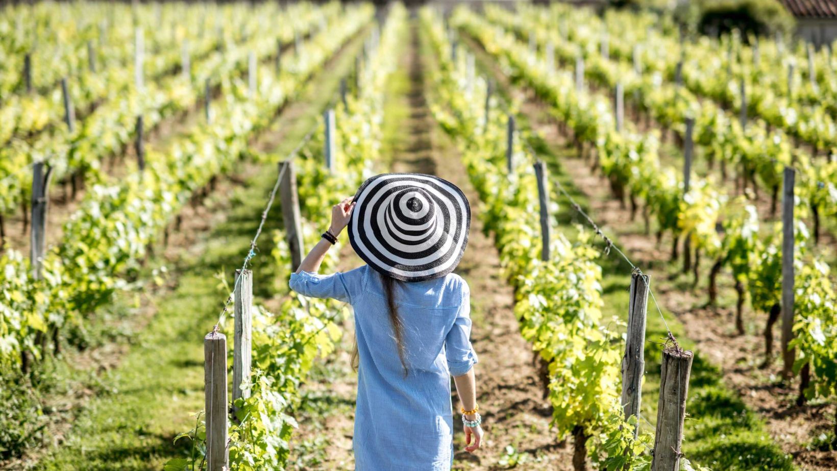 Young woman in striped hat enjoying beautiful sunset view on the vineyard in Bordeaux region in France