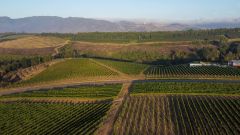 Radford Dale winery
