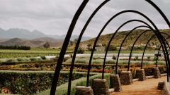 Weltevrede Gardens