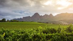 Best Value Sparkling Wine of the Year NV KWV Laborie Brut Winery