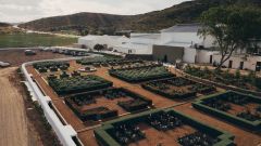Weltevrede Gardens 2