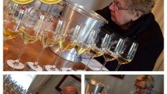 White Blends Niche Panel