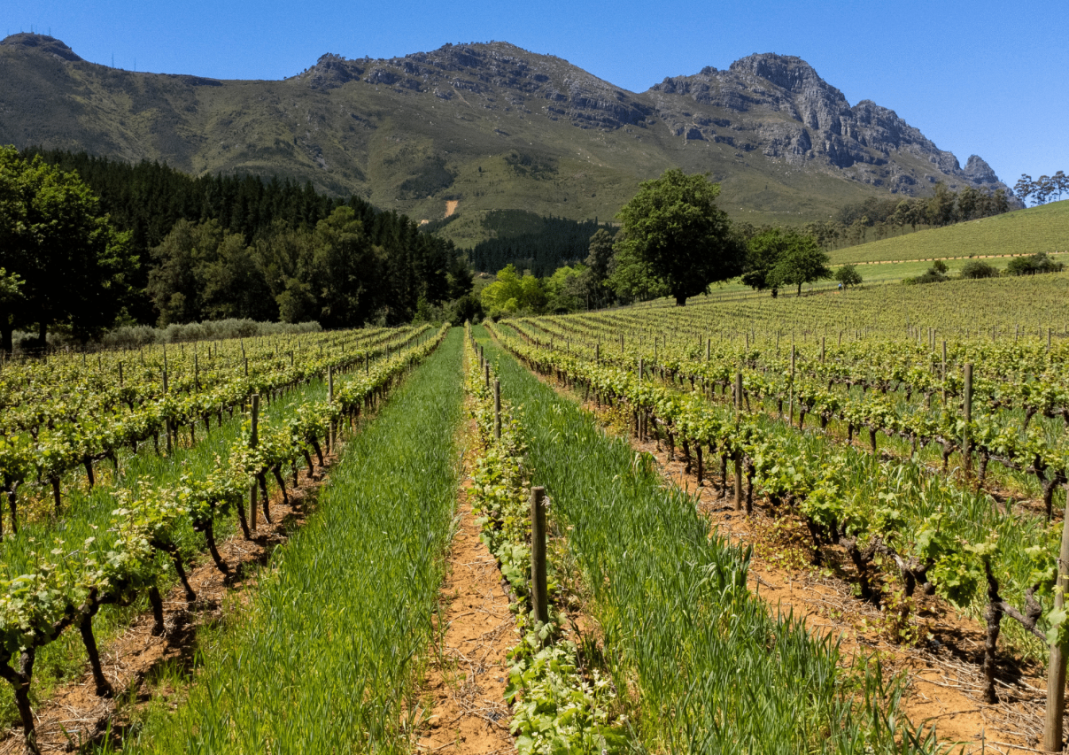Delheim