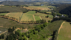 Delheim 1