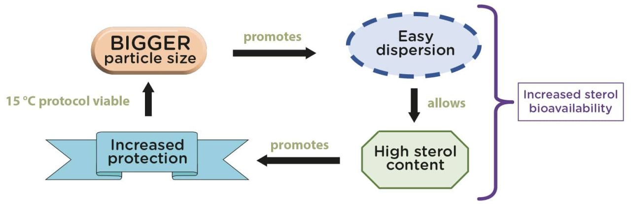 Micro agglomeration bioavailability of sterols Figure 8