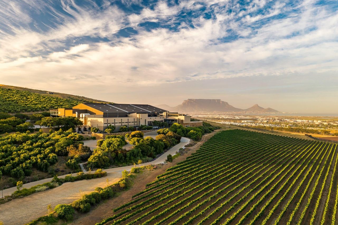 Durbanville Hills The Tangram Restaurant 2