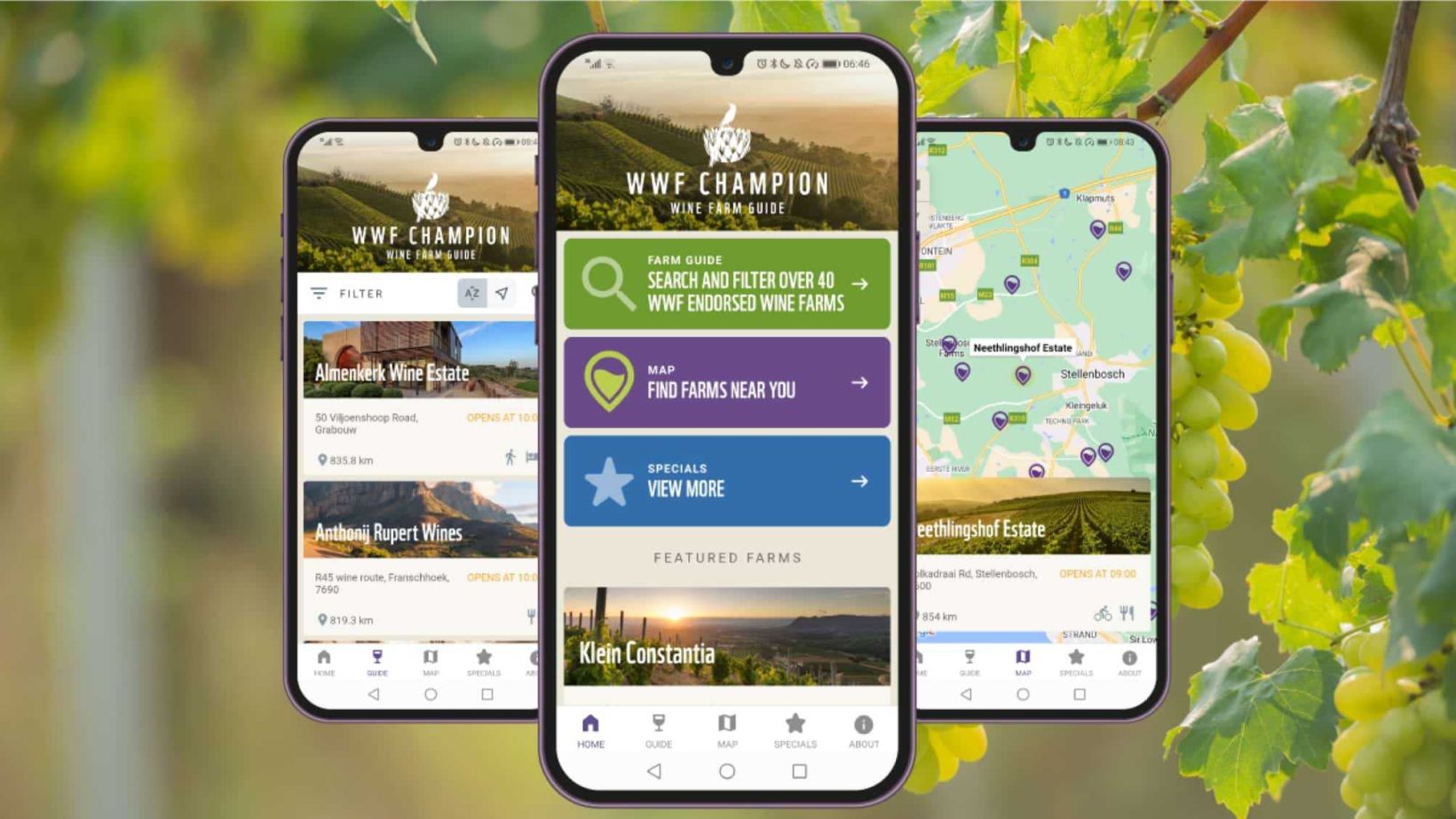 WWF Champion Wine Guide
