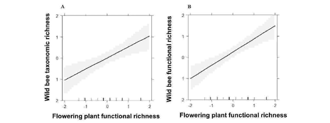 Promotion of wild bees in South African Austrian vineyards Figure 4 1