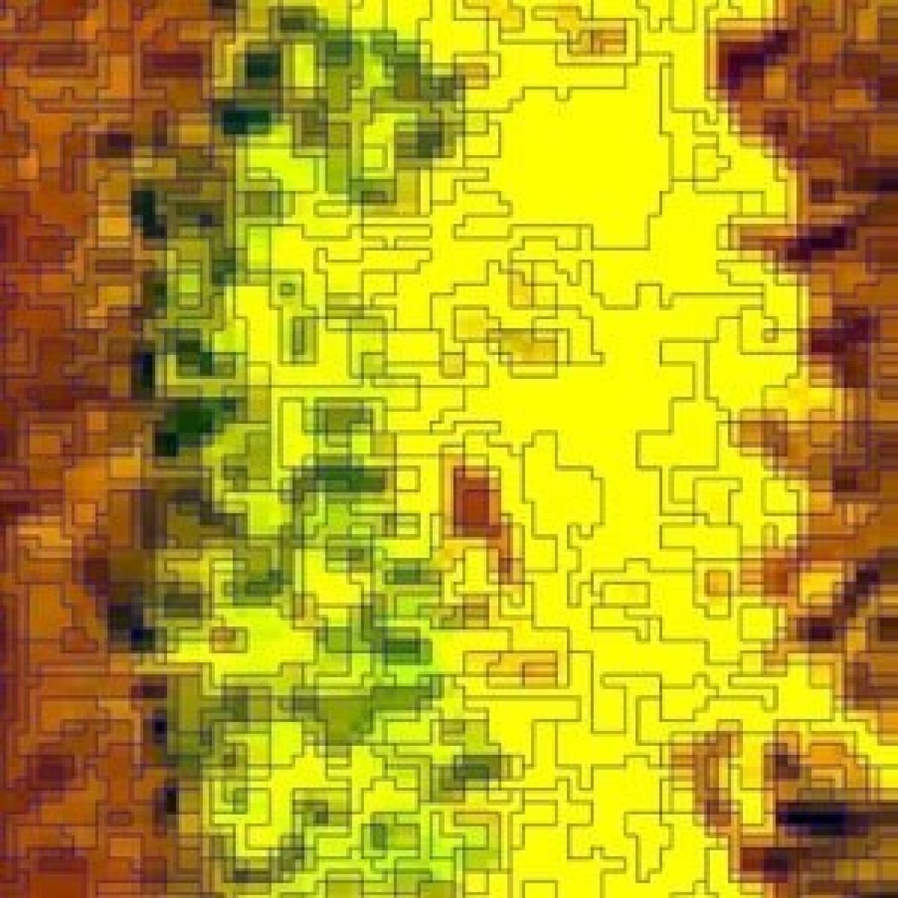 Mapping individual vines using drone imagery Figure 2