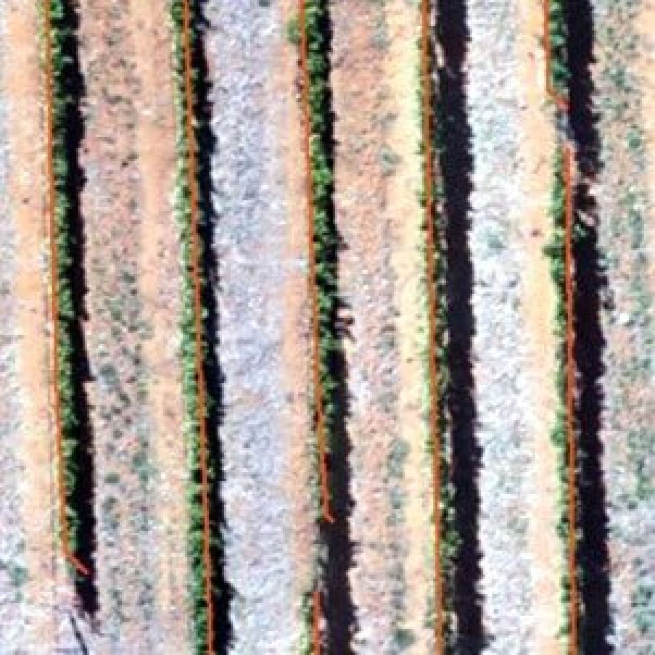 Mapping individual vines using drone imagery Figure 4
