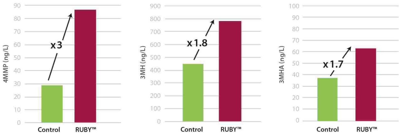 RUBY expressing thiols in red wine Figure 2