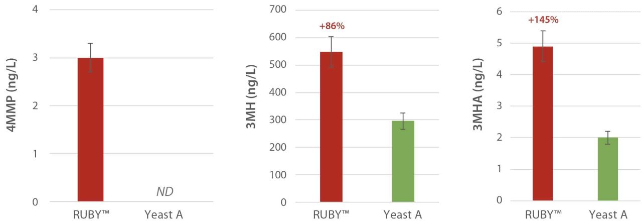 RUBY expressing thiols in red wine Figure 4 1