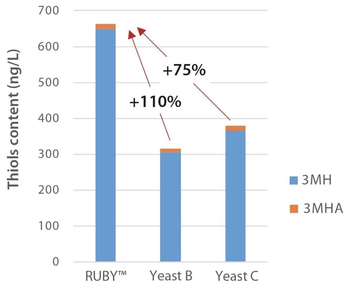 RUBY expressing thiols in red wine Figure 3