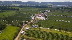 ENOVITIS 2023 52 img 736