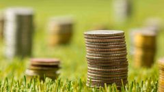 Columns coins grass