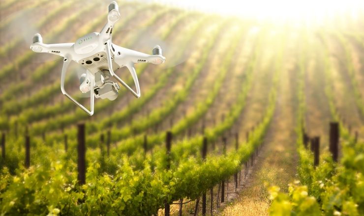 Mapping individual vines using drone imagery Shutterstock