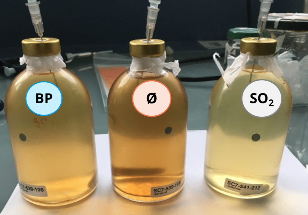 Bioprotection as an alternative to SO2 Figure 2 A