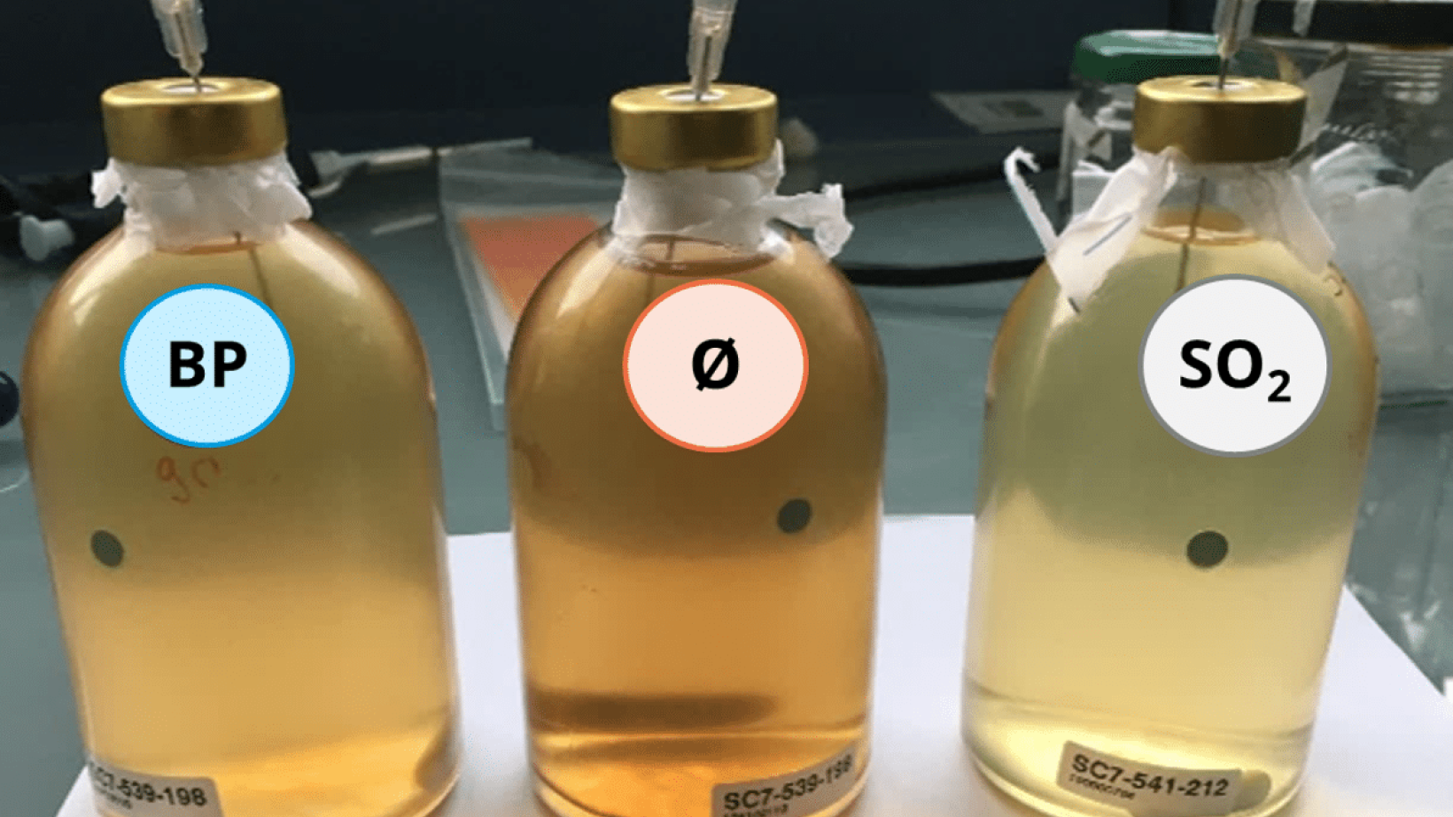 Bioprotection as an alternative to SO2 Featured image
