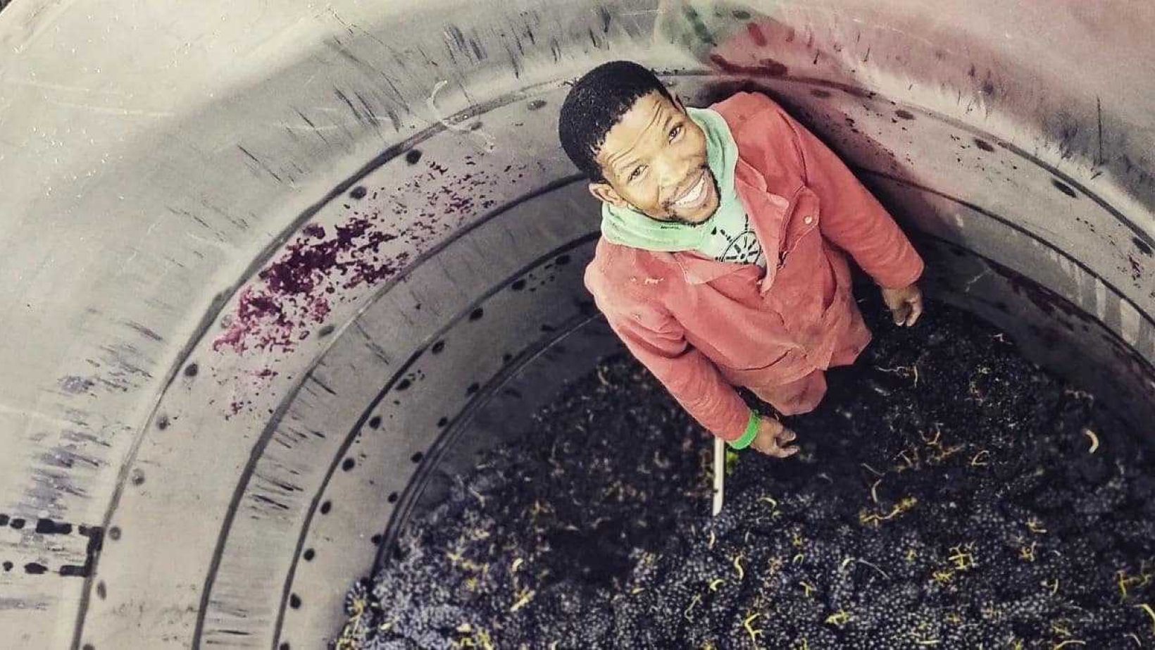 Cellar assistants
