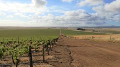 Treated municipal wastewater for irrigation Part 2