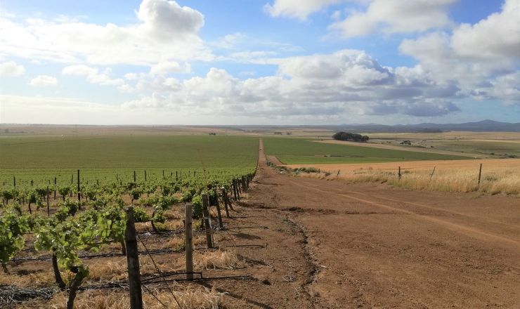 Treated municipal wastewater for irrigation Part 2