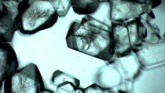 Calcium tartrate instability Enartis