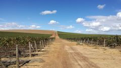 Treated municipal wastewater for irrigation Part 3
