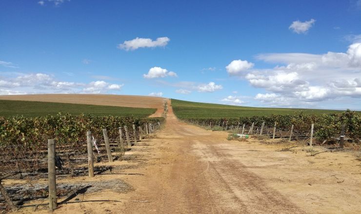 Treated municipal wastewater for irrigation Part 3