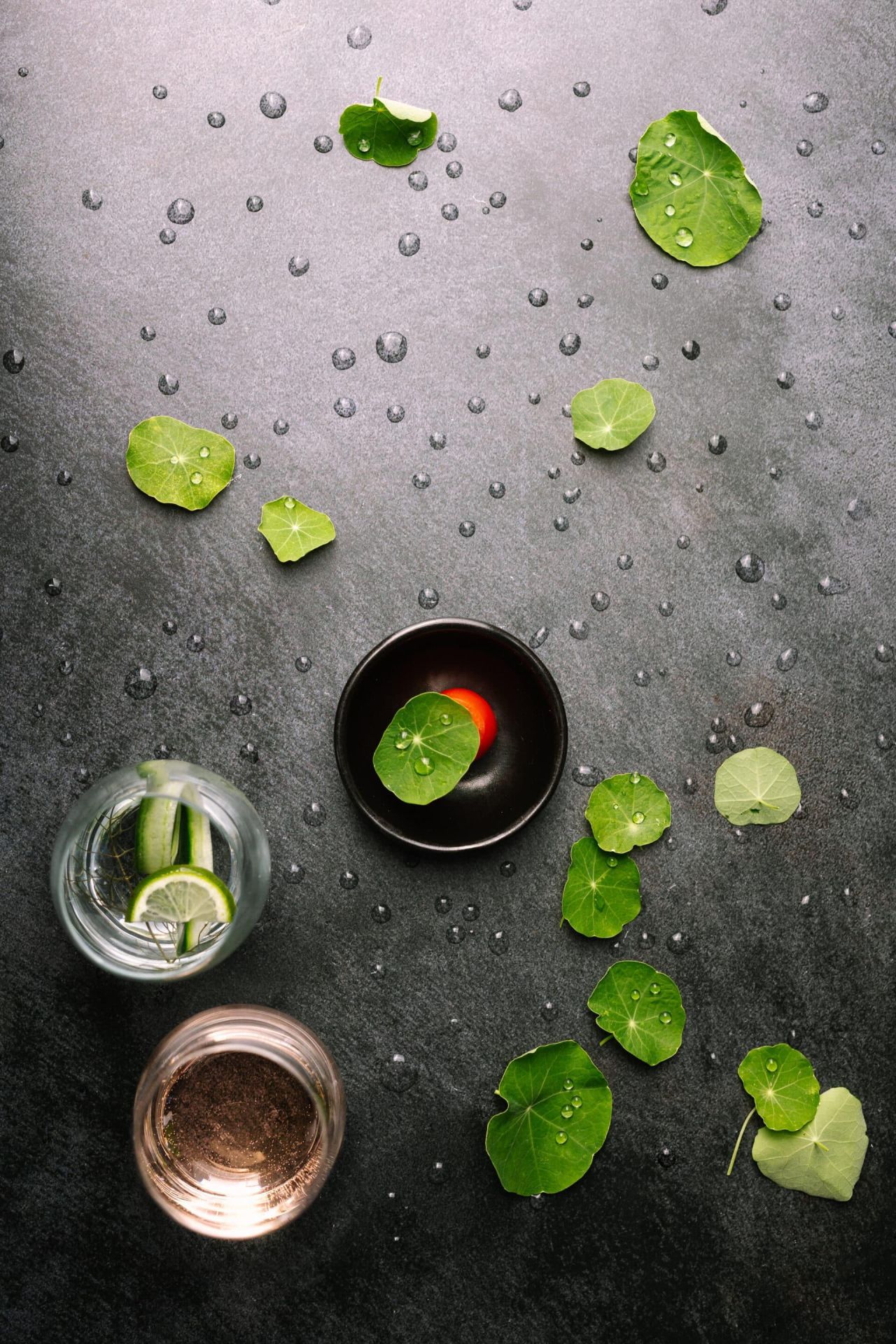 Creation 2312 Summer Menu 1