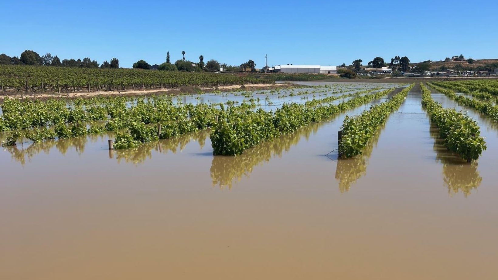 Floods