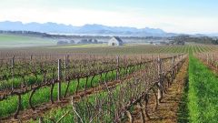 Meerendal terroir