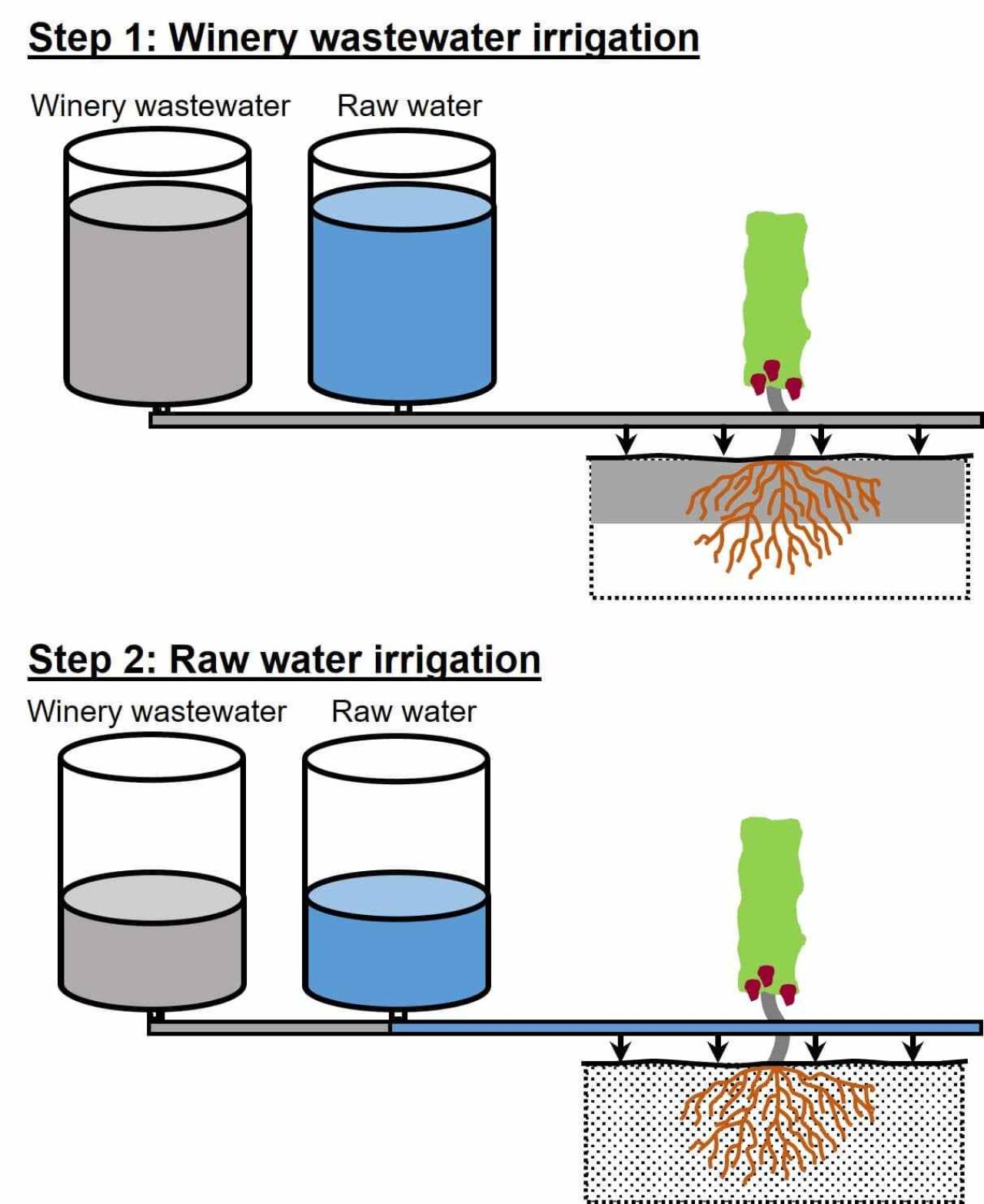 In field fractional use of winery wastewater with raw water Part 1 Figure 4