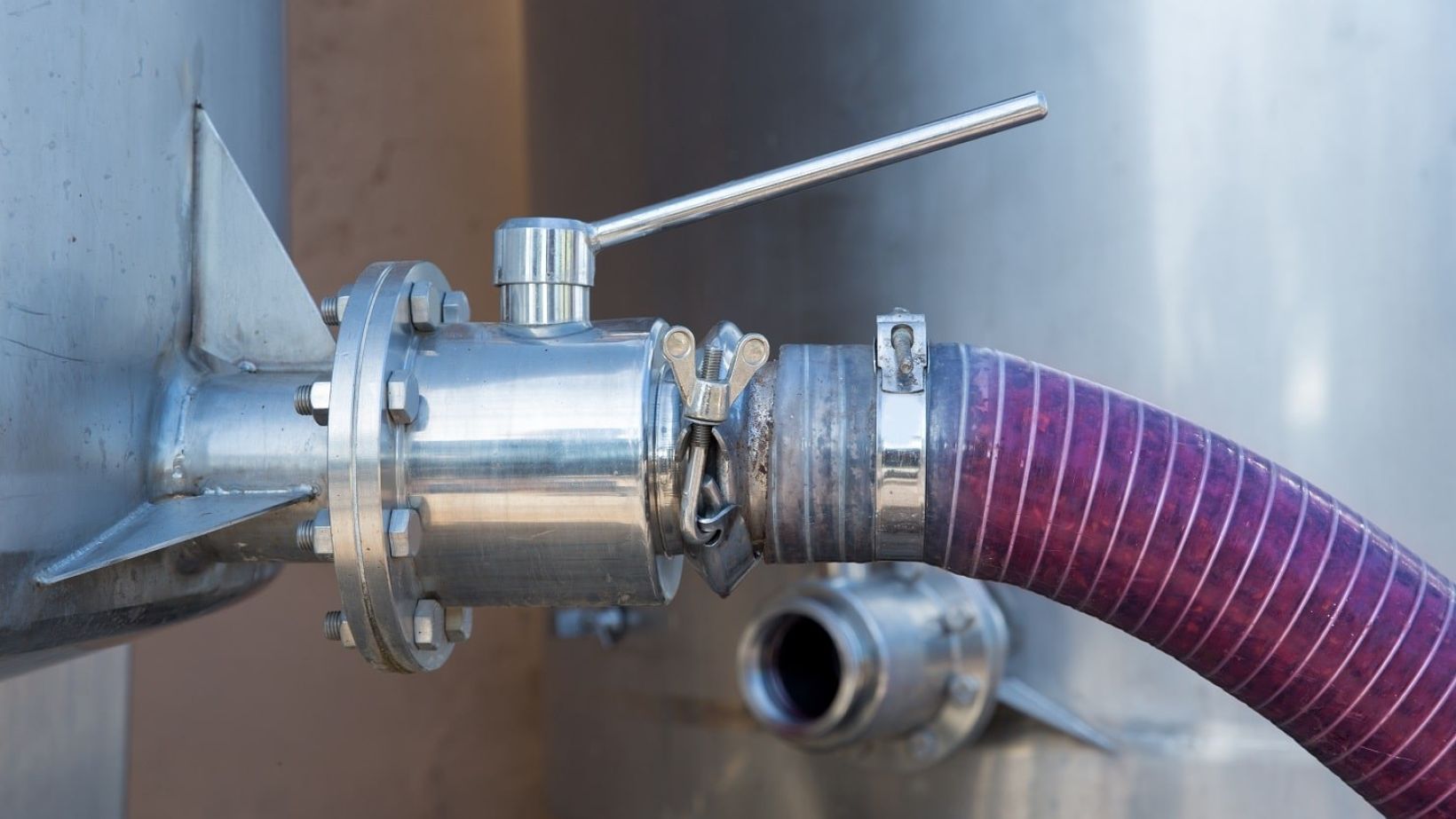 winemaking crushed grapes pumped into the stainless steel fermentation tank vessel