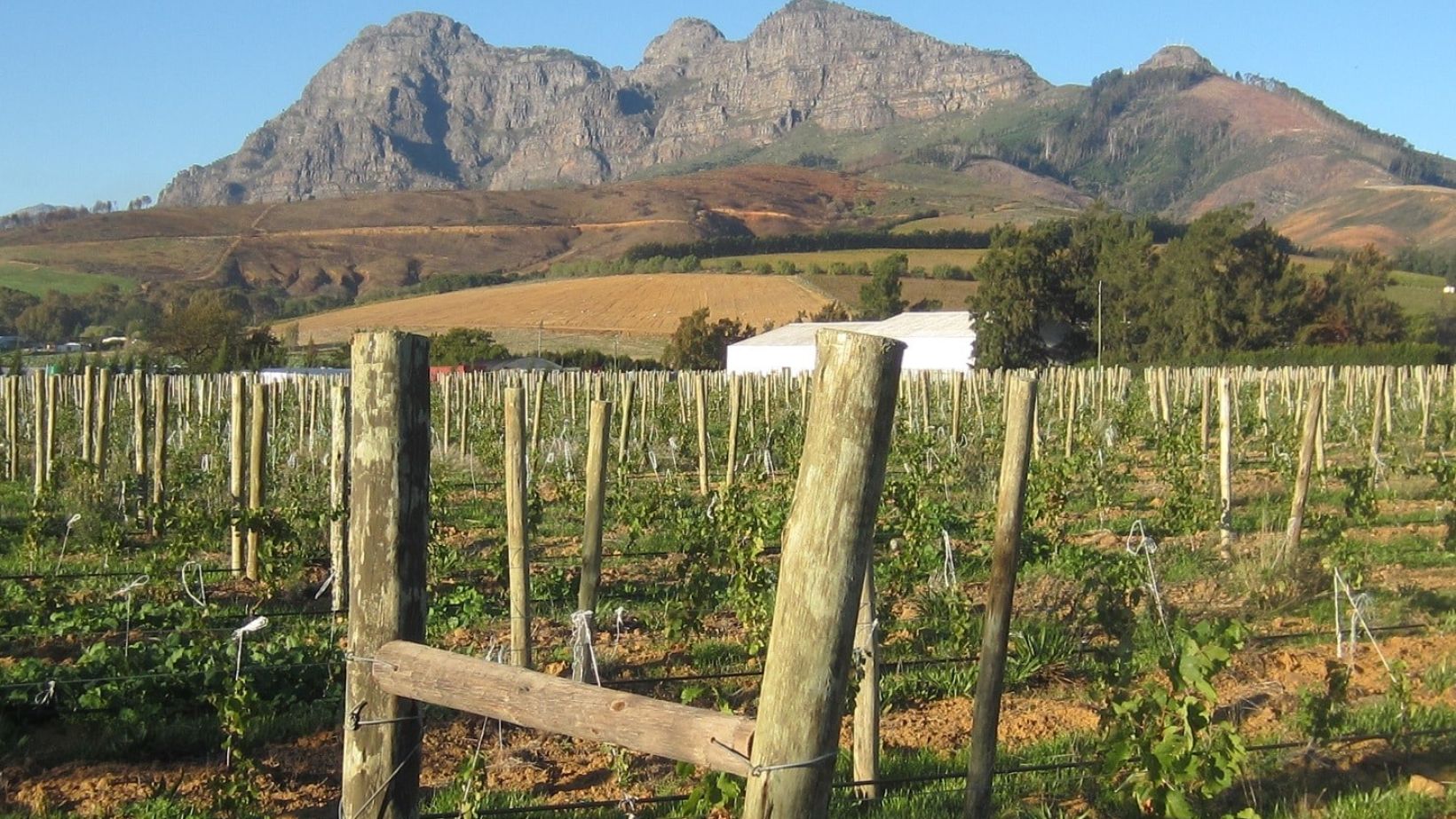 Winery wastewater