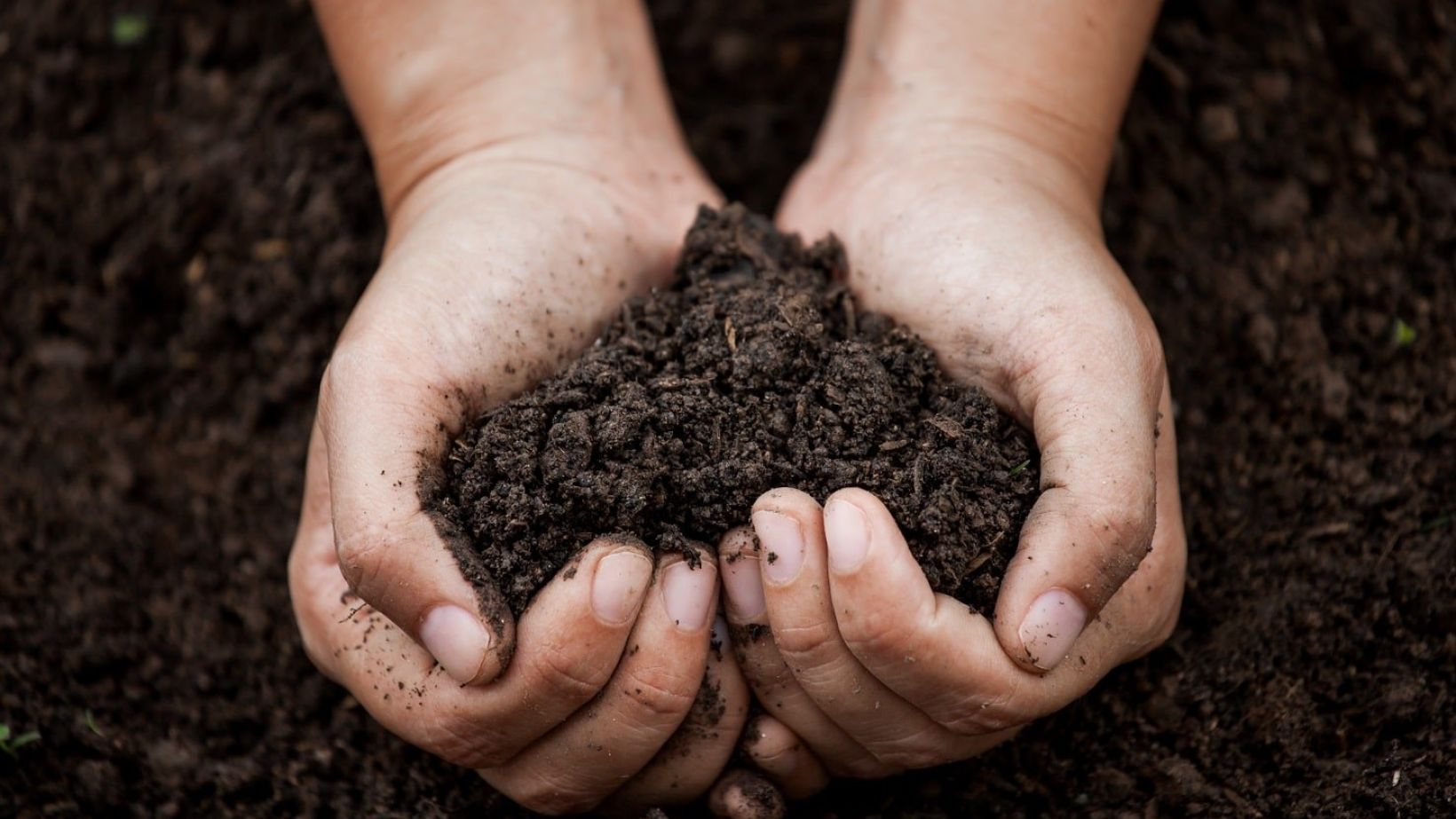 Soil science