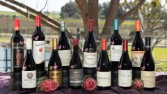 2024 Shiraz SA Awards Top 12 Shiraz bottles