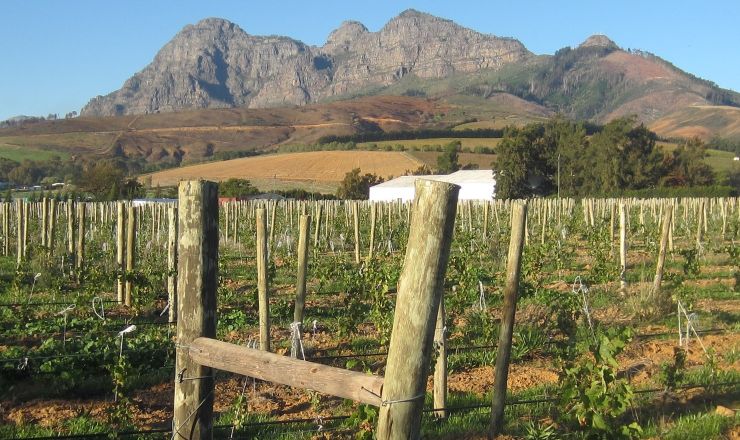 In field fractional use of winery wastewater with raw water Part 1