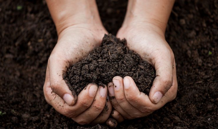 Shutterstock 658663726