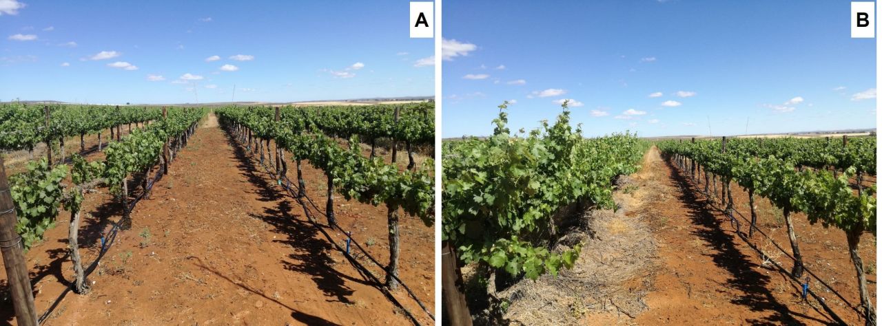 In field fractional use of winery wastewater with raw water Part 2 Figure 2