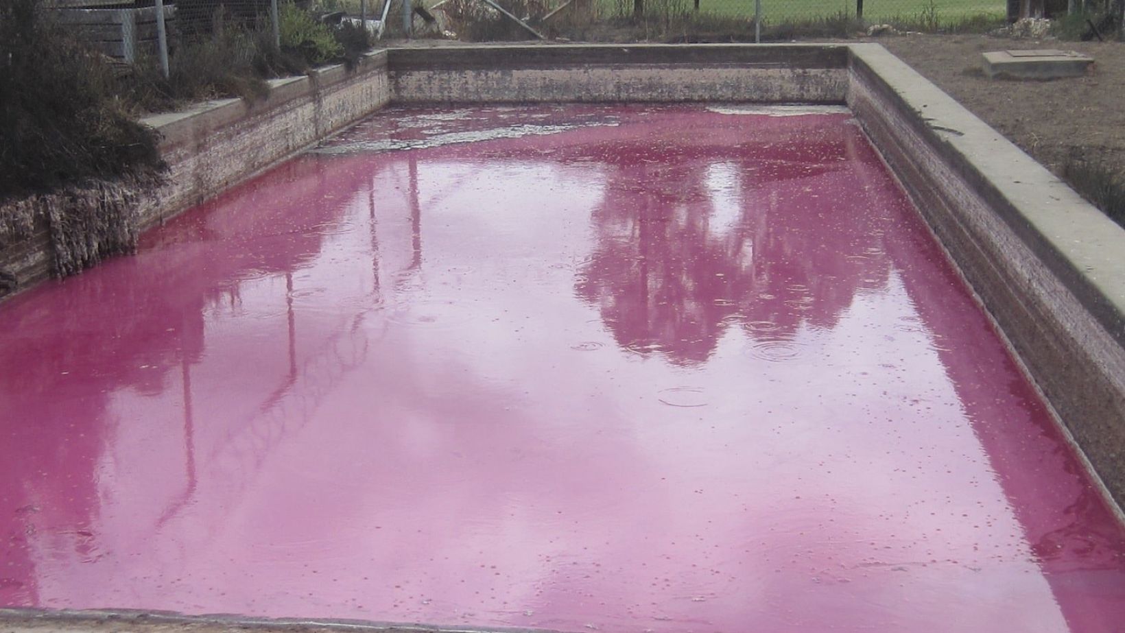 In field fractional use of winery wastewater with raw water Part 2