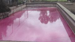 In field fractional use of winery wastewater with raw water Part 2