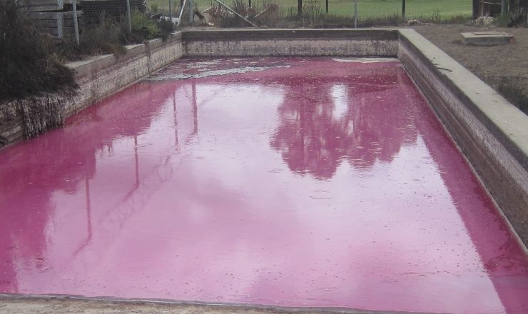 In field fractional use of winery wastewater with raw water Part 2