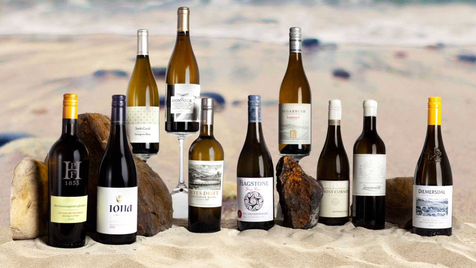 2024 Sauvignon Blanc SA Top 10 bottle group