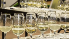 Veritas public tasting